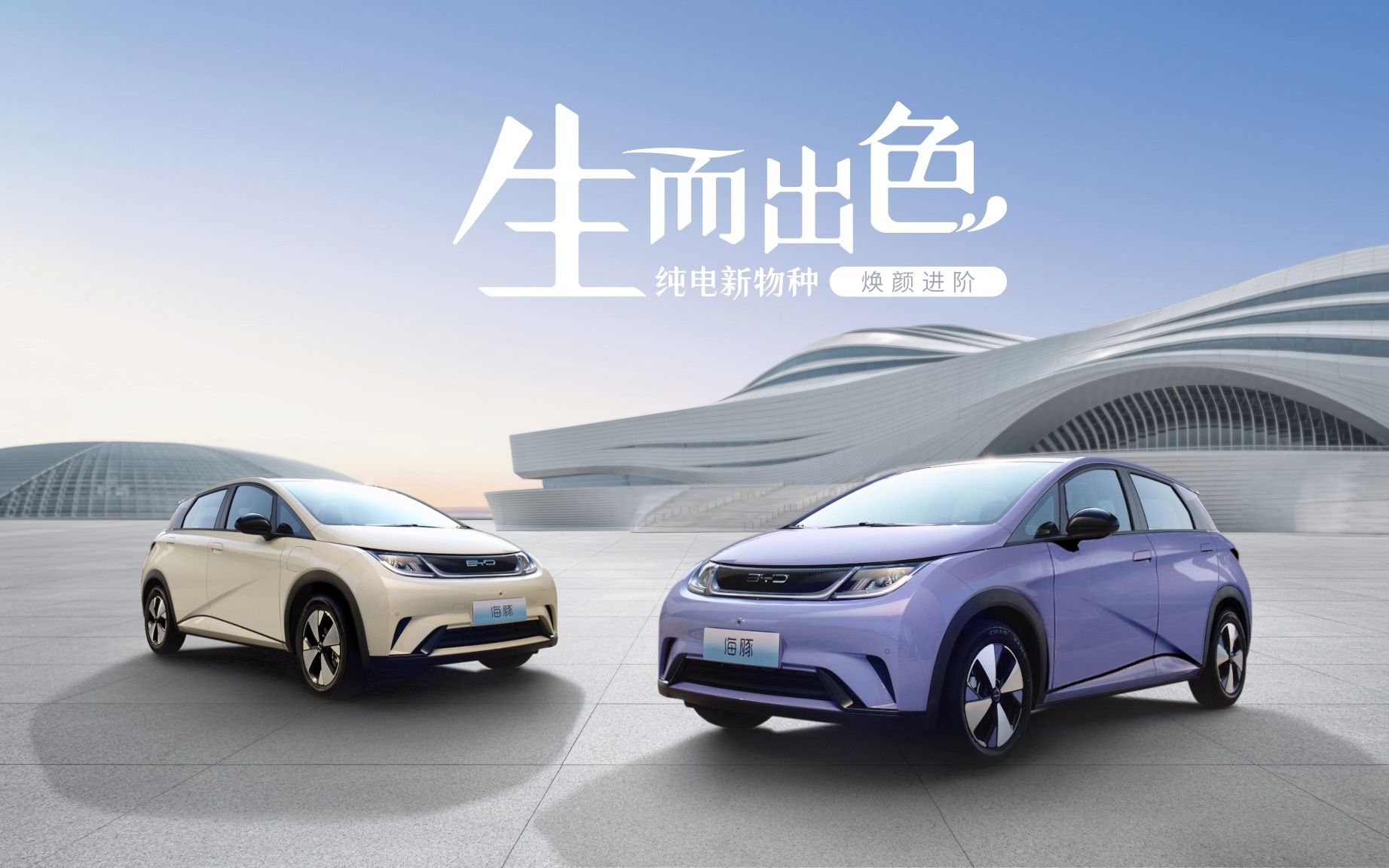 包含海豚表现出色，球队稳步迈进季后赛的词条