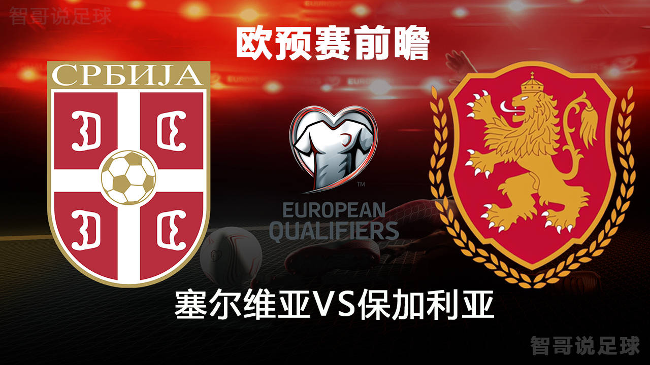 保加利亚队主场逼平匈牙利队的简单介绍