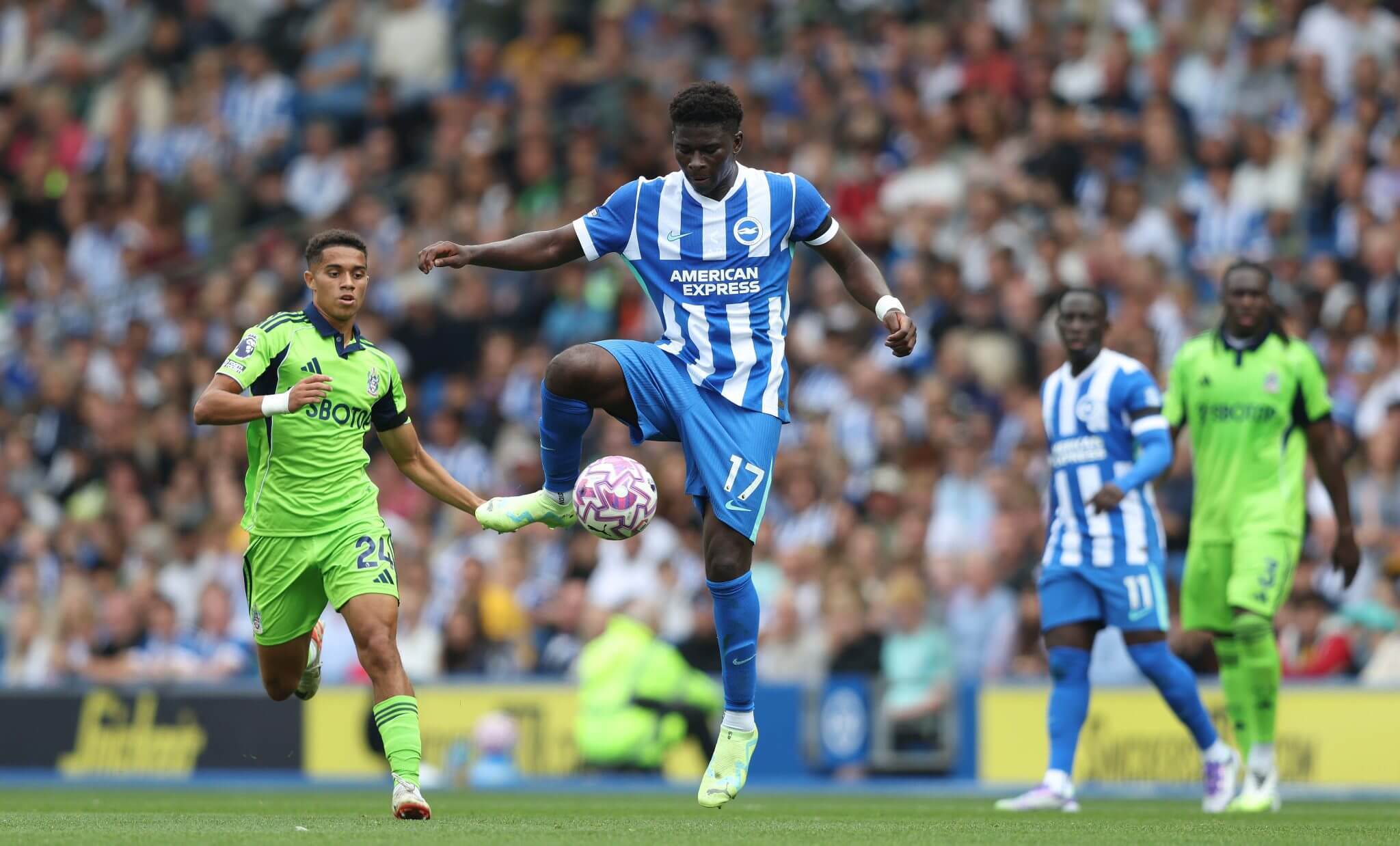 欧预赛新星崭露头角，实力惊人，带来惊喜！的简单介绍